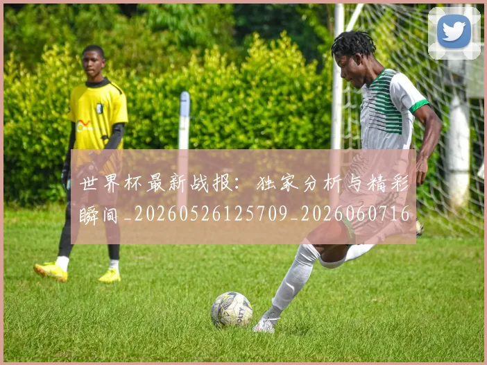 世界杯最新战报:独家分析与精彩瞬间_20260526125709_20260607160608